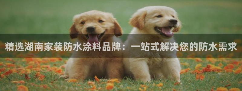 和记AG网站：精选湖南家装防水涂料品牌：一站式解决您的防水需求