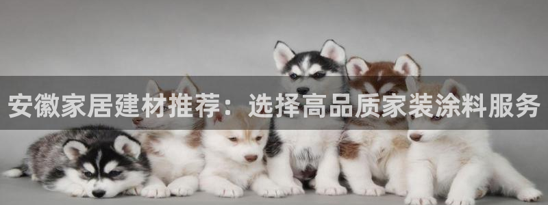 和记国际开户网站