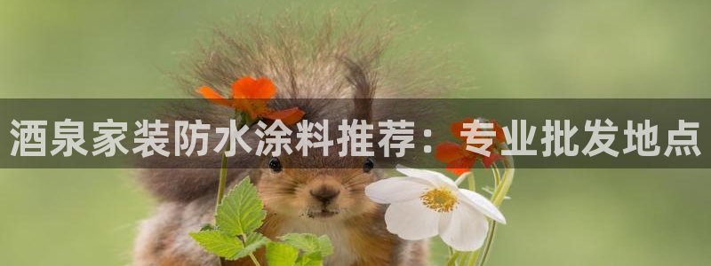 和记娱好网址：酒泉家装防水涂料推荐：专业批发地点