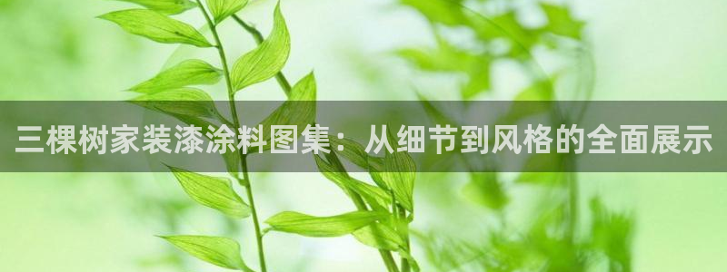 和记平台登陆：三棵树家装漆涂料图集：从细节到风格的全面展示
