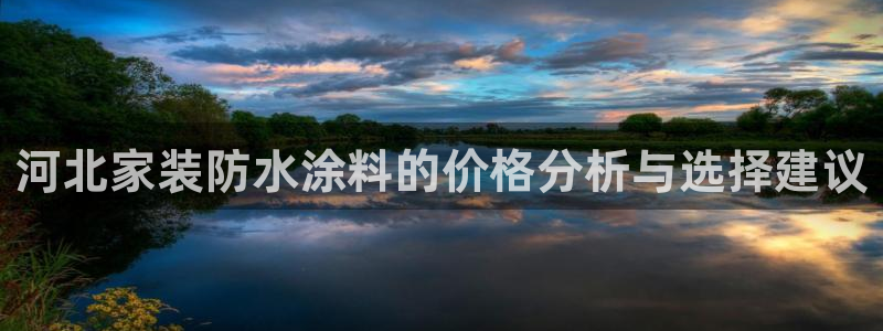 和记H88：河北家装防水涂料的价格分析与选择建议