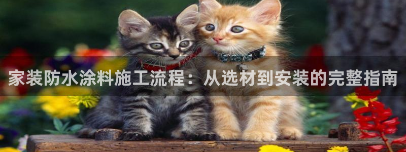 和记ag旗舰厅app：家装防水涂料施工流程：从选材到安装的完