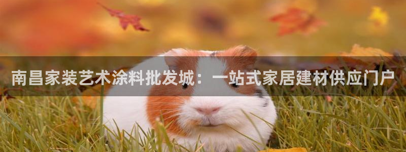 和记网页版登陆：南昌家装艺术涂料批发城：一站式家居建材供应门户